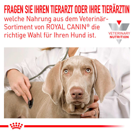 ROYAL CANIN Veterinary ANALLERGENIC Trockenfutter für Hunde