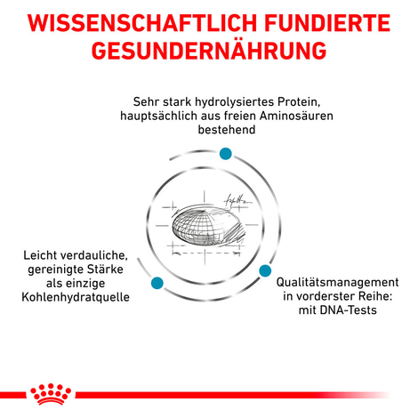 ROYAL CANIN Veterinary ANALLERGENIC Trockenfutter für Hunde