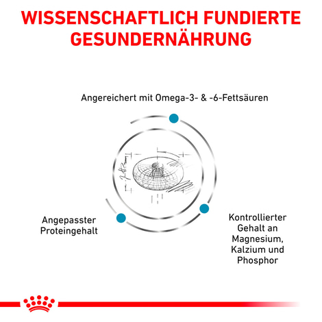ROYAL CANIN Veterinary SKIN & COAT Trockenfutter für Katzen