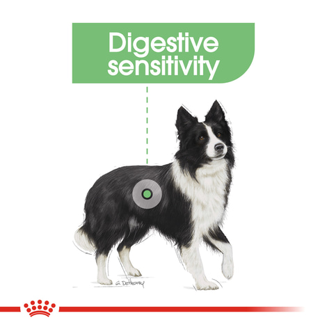 ROYAL CANIN DIGESTIVE CARE MEDIUM Trockenfutter für mittelgroße Hunde mit emfindlicher Verdauung