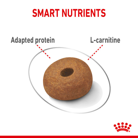 ROYAL CANIN LIGHT WEIGHT CARE MAXI Trockenfutter für zu Übergewicht neigenden Hunden