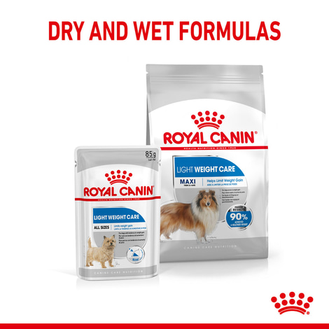 ROYAL CANIN LIGHT WEIGHT CARE MAXI Trockenfutter für zu Übergewicht neigenden Hunden