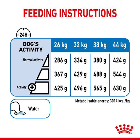 ROYAL CANIN LIGHT WEIGHT CARE MAXI Trockenfutter für zu Übergewicht neigenden Hunden