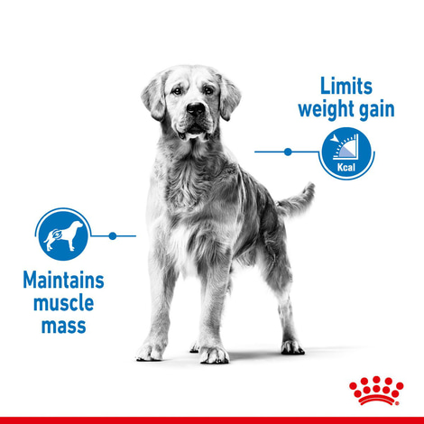 ROYAL CANIN LIGHT WEIGHT CARE MEDIUM Trockenfutter für zu Übergewicht neigenden Hunden
