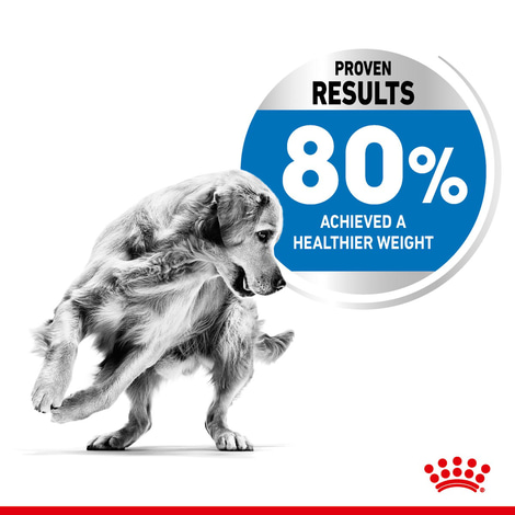 ROYAL CANIN LIGHT WEIGHT CARE MEDIUM Trockenfutter für zu Übergewicht neigenden Hunden
