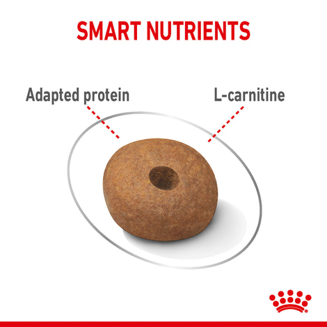 ROYAL CANIN LIGHT WEIGHT CARE MEDIUM Trockenfutter für zu Übergewicht neigenden Hunden