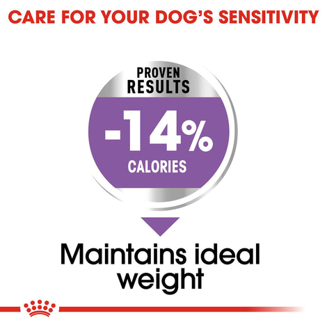 ROYAL CANIN STERILISED MAXI Trockenfutter für kastrierte große Hunde
