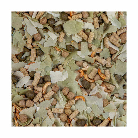 Sera Pond Mix Royal Nature
