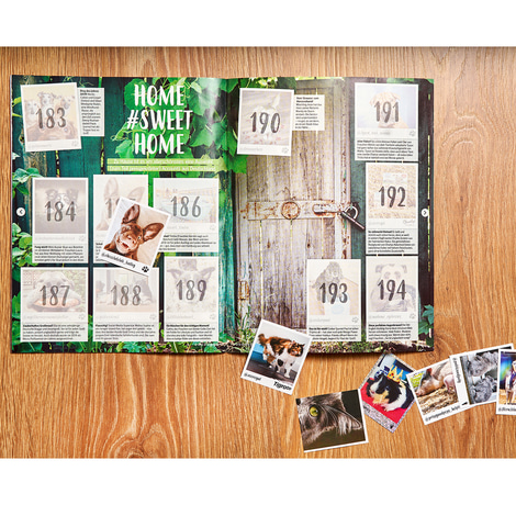 PANINI Tierische Internetstars Sammelalbum