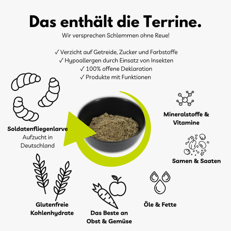 BugTerrine Adult grün Spinat & Hanf