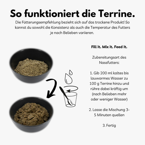 BugTerrine Adult grün Spinat & Hanf