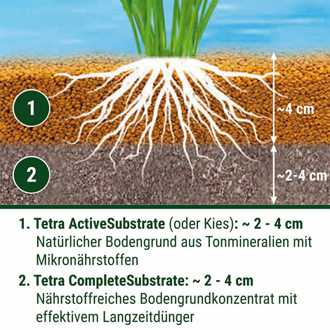 Tetra ActiveSubstrate