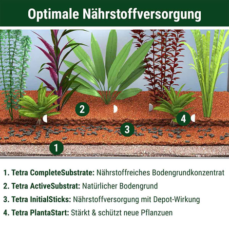 Tetra ActiveSubstrate