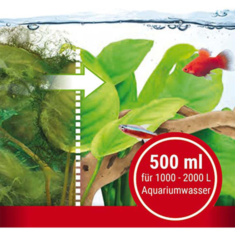 Tetra AlguMin Algenbekämpfung