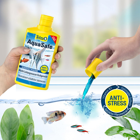 Tetra Wasseraufbereiter AquaSafe