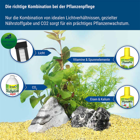 Tetra CO2-Optimat