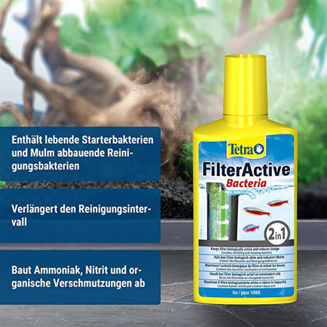 Tetra FilterActive