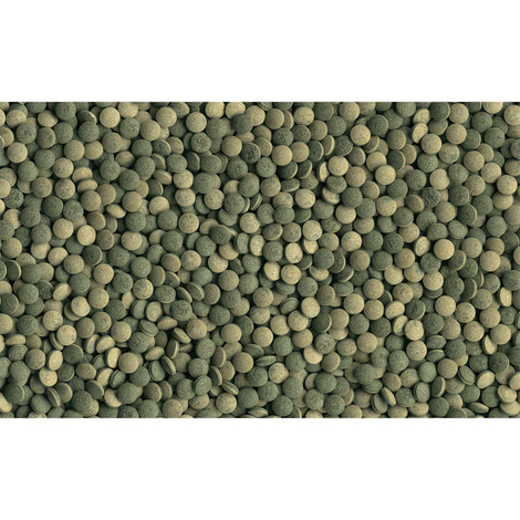 Tetra Pleco Tablets