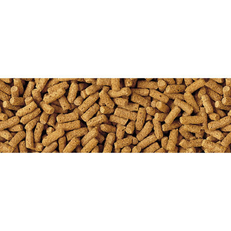 Tetra Pond Teichfutter Wheatgerm Sticks