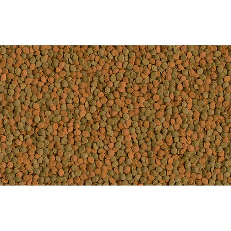 Tetra Wafer Mix