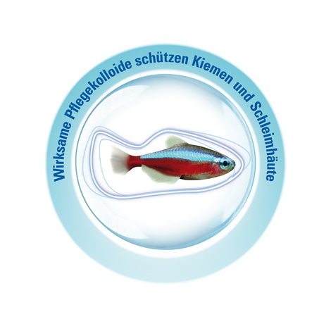 Tetra Wasseraufbereiter AquaSafe