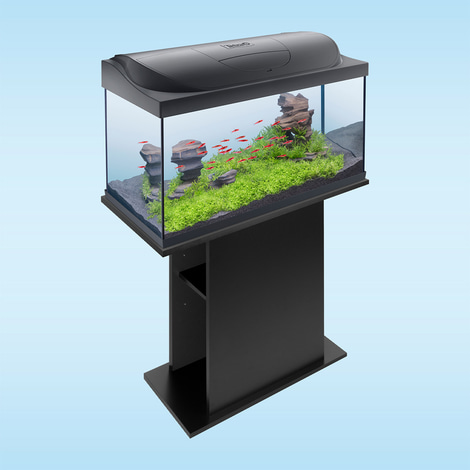 Tetra Starter Line LED Aquarium 105L