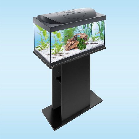 Tetra Starter Line LED Aquarium 54L