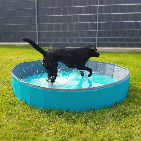 Thempa Hundepool