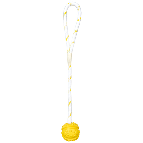 Trixie Aqua Toy Ball am Seil Wasserspielzeug Ø 5,5cm