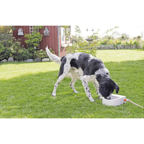 Trixie automatische Outdoor-Tränke 1,5 l
