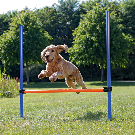 Trixie Dog Activity Agility Set vierteilig