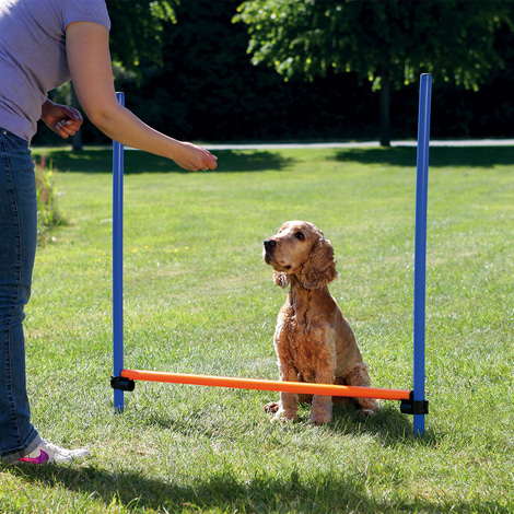 Trixie Dog Activity Agility Hürde