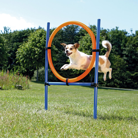 Trixie Dog Activity Agility Set vierteilig