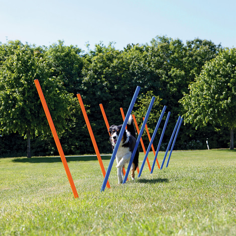 Trixie Dog Activity Agility Set vierteilig