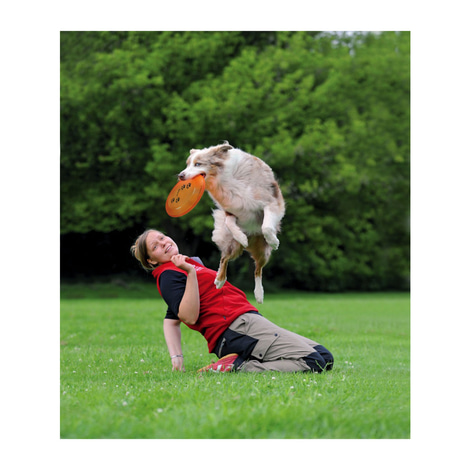 Trixie Dog Activity Dog Disc Hundefrisbee aus Kunststoff 19cm