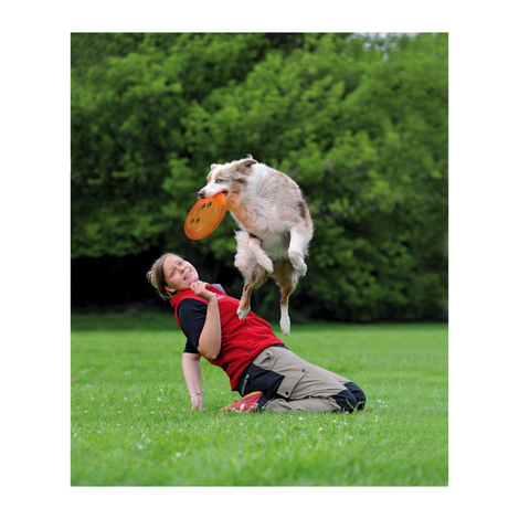 Trixie Dog Activity Dog Disc Hundefrisbee aus Kunststoff 23cm