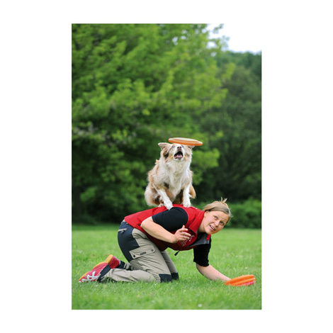 Trixie Dog Activity Dog Disc Hundefrisbee aus Kunststoff 23cm