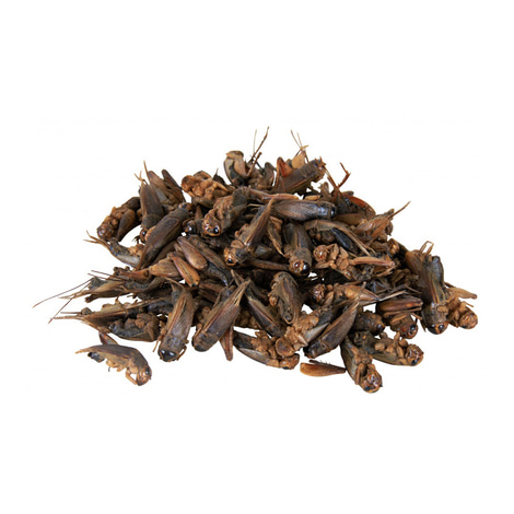 Trixie Grillen 25g