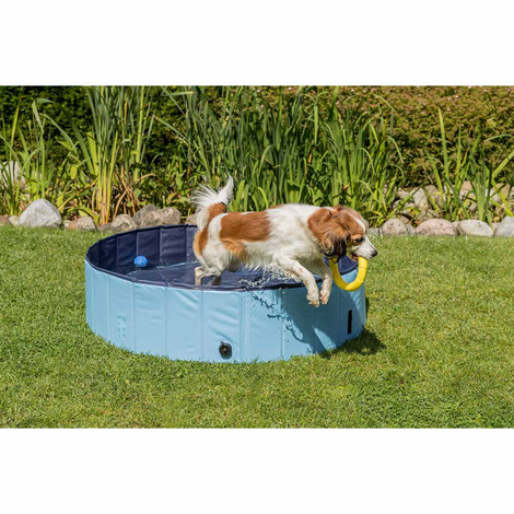 Trixie Hundepool hellblau