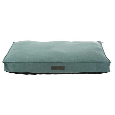 Trixie Kissen Talis mint