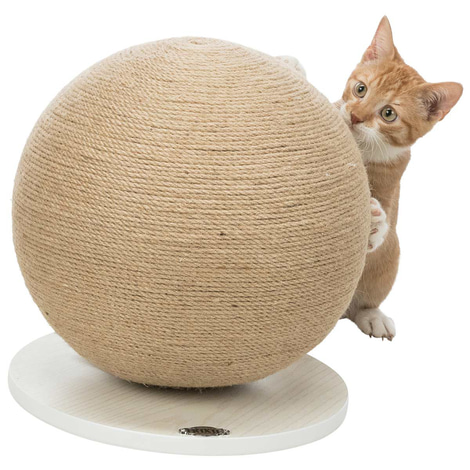 Trixie Kratzball auf Platte