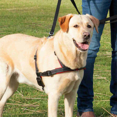 Trixie Hundegeschirr Lead'n'Walk Soft