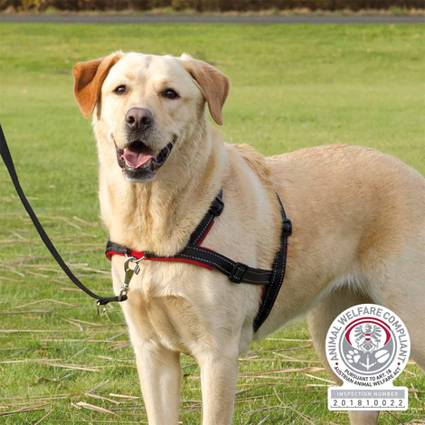 Trixie Hundegeschirr Lead'n'Walk Soft