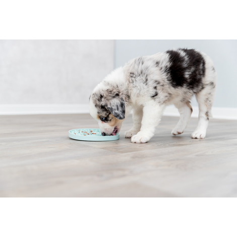 Trixie Lick'n'Snack Schleckplatte für Welpen