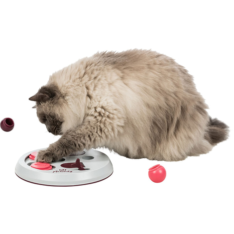 Trixie Cat Activity Flip Board