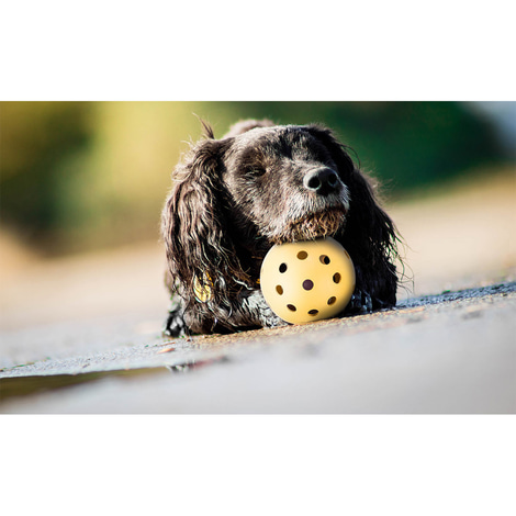 Trixie Lochball mit Schelle