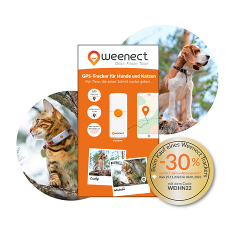 Weenect Cats 2 - GPS Tracker für Katzen