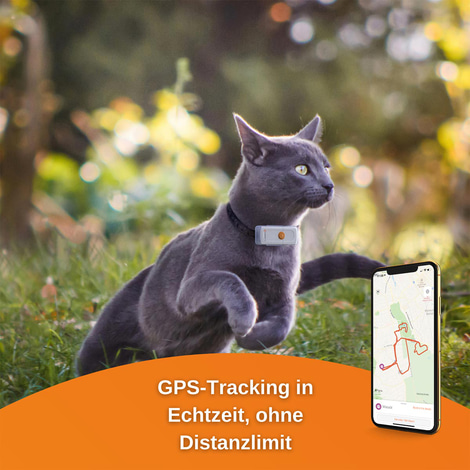 Weenect Cats 2 - GPS Tracker für Katzen