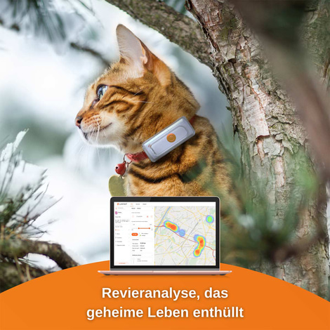 Weenect Cats 2 - GPS Tracker für Katzen
