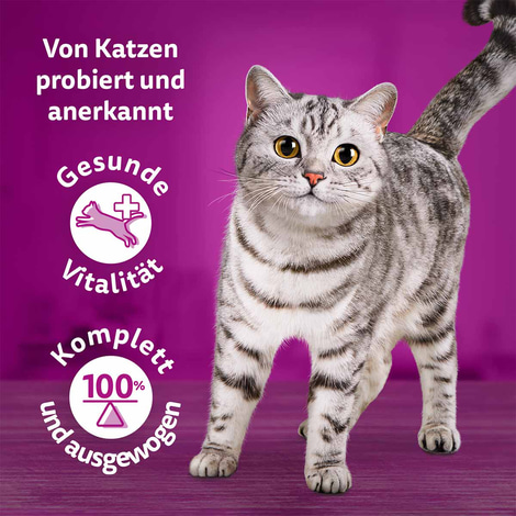 Whiskas Tasty Mix Multipack Chef's Choice in Sauce 60x85g